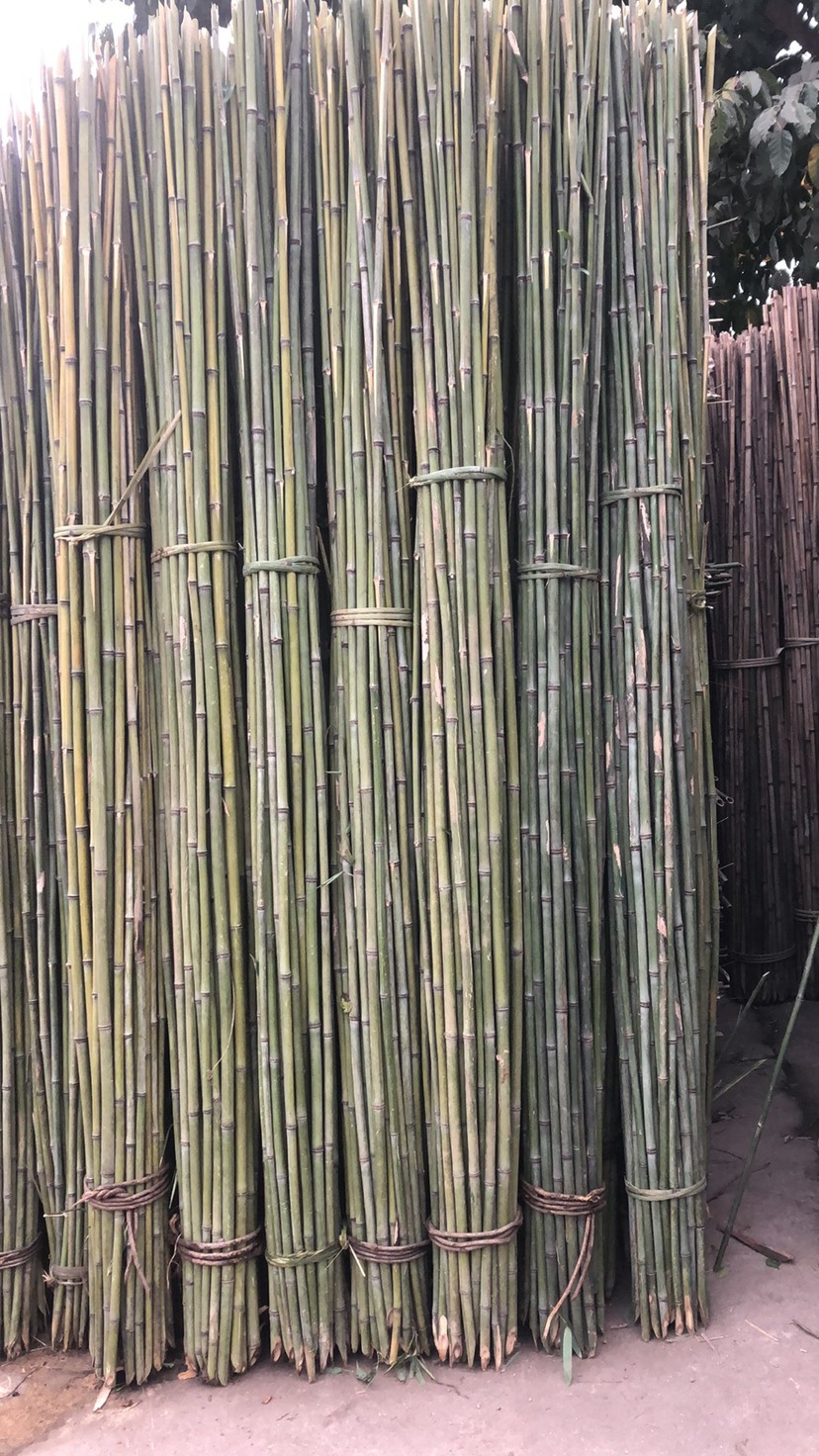 竹竿批发]竹竿长度2.4米-8米长度不等，可做菜架竹，园林撑遮阳网价格50 